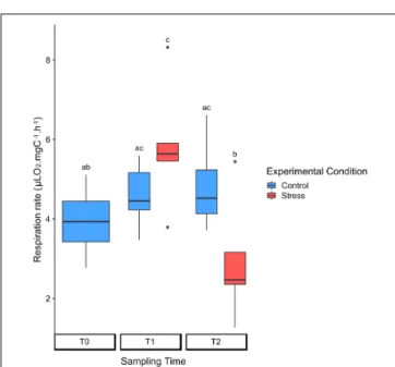 FIGURE 4 | Variations of the symbiont density in control (blue) and heat-stressed colonies (red) of Collozoum pelagicum