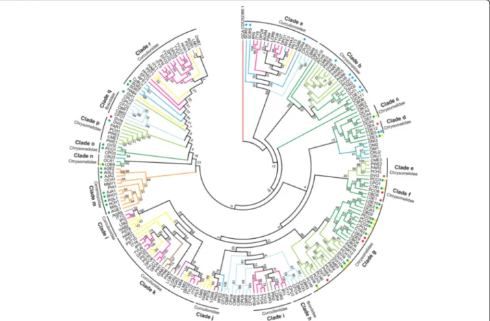 Fig. 4 Phylogenetic relationships of Phytophaga-derived GH45s. A maximum-likelihood-inferred phylogeny of the predicted amino acid sequences of beetle-derived GH45s was performed