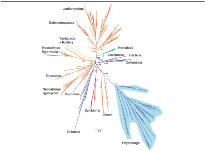 Fig. 3 Global phylogeny encompassing GH45 proteins from various taxa. Bayesian-based phylogenetic analysis of GH45 sequences
