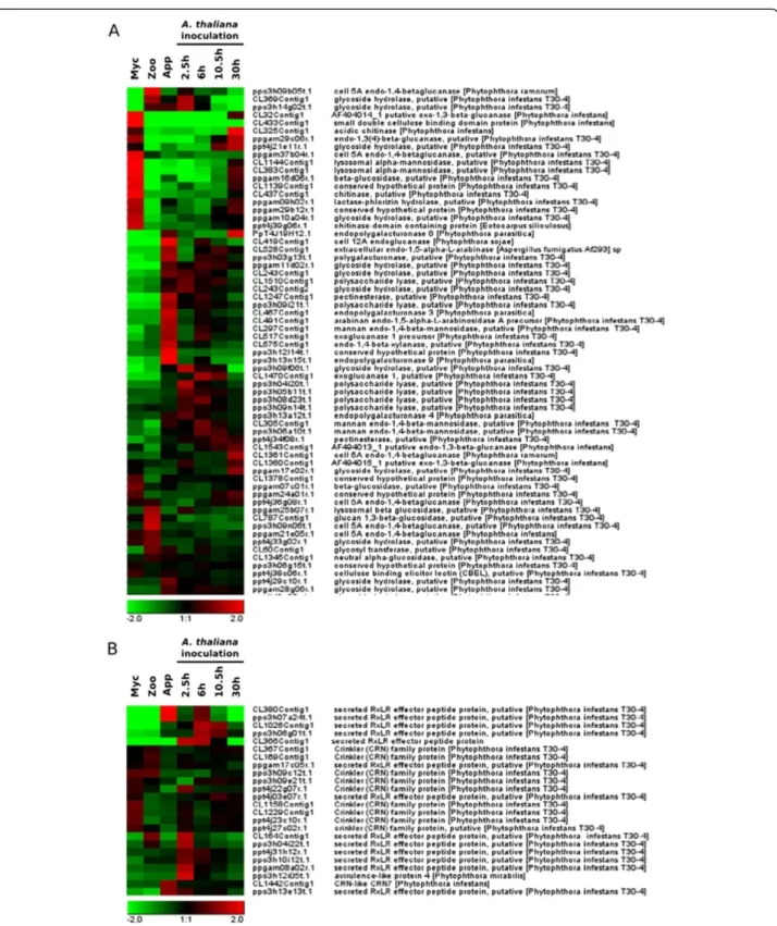 Figure 3 Hierarchical clustering of the genes encoding cell wall degrading enzymes and cytoplasmic effectors