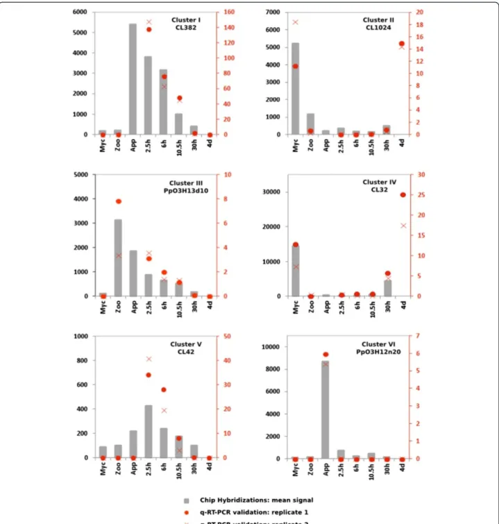 Figure 2 Quantification of mRNA corresponding to on gene of each of the clusters I to VI