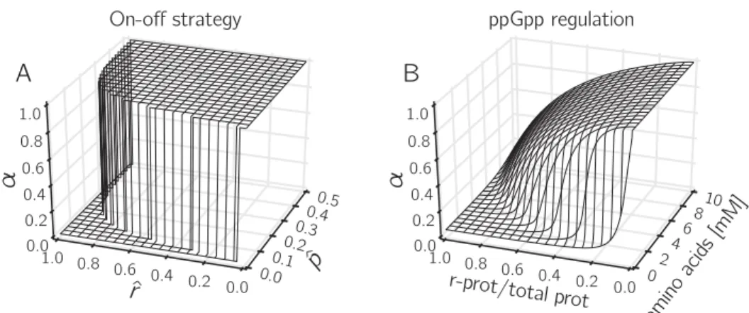 Fig 8. ppGpp regulation implements an on-off control strategy of resource allocation. A: Response surface of the on-off control strategy, defined by a ¼ hð^p ; ^ rÞ in Eq 19