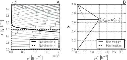 Fig 2. Analysis of self-replicator model of bacterial growth. A: Phase-plane analysis of the self-replicator model of Eqs 3 and 4