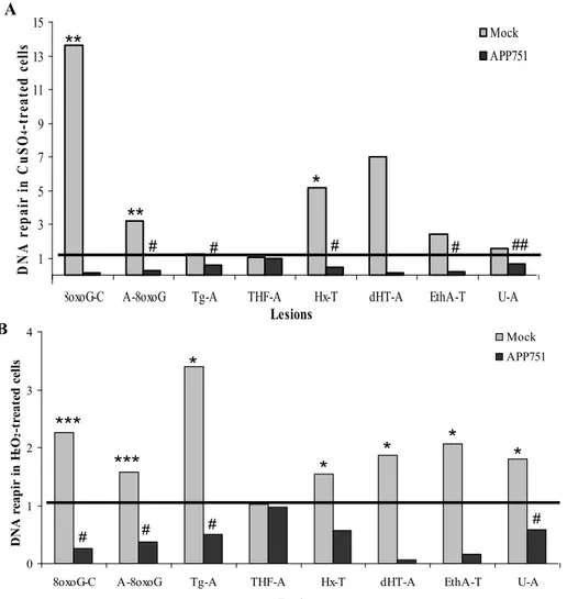 Figure 5. CuSO 4  and H 2 O 2 -induced excision activity.  Nuclear cellular extracts of mock  and APP751-expressing cells were tested for their excision capacity on the oligonucleotide  (ODN) biochip