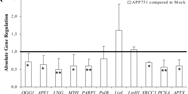 Figure 3. Aβ, CuSO 4 , and H 2 O 2 -induced base excision repair (BER) gene expression