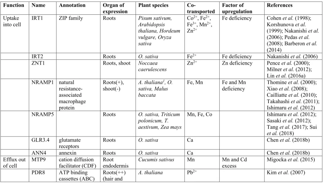 Table 1. Genes involved in Cd accumulation in plants. 
