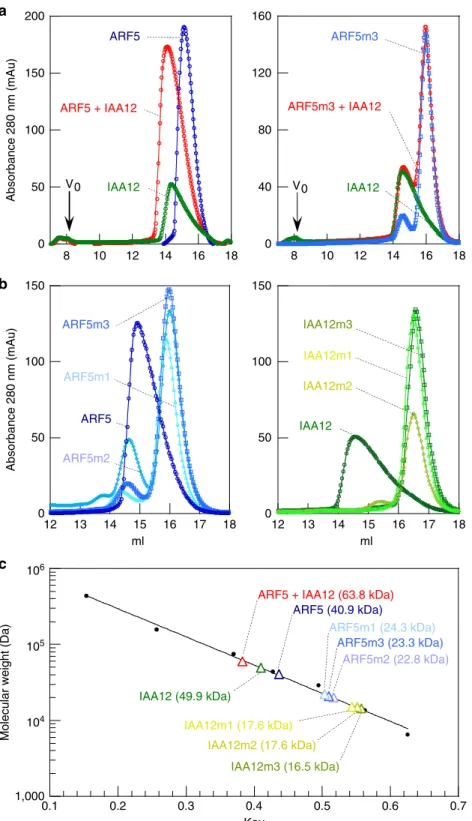 Figure 3 | Analysis of ARF–IAA interactions using gel-ﬁltration experiments. (a) SEC analysis of ARF5 (blue), IAA12 (green) or both proteins mixed (red)