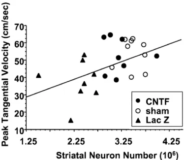 Figure 7. Linear correlation between the number of striatal NeuN- NeuN-immunoreactive neurons and the PTV of animals belonging to the AdRSV.CNTF, AdRSV.LacZ, and sham groups (experiment 2)