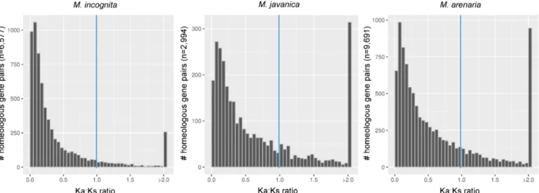 Fig 8. Distribution of the Ka / Ks ratio for pairs of collinear genes in asexual Meloidogyne