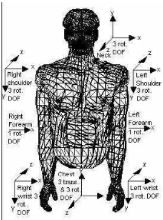 Fig. 2. Modelo del cuerpo humano