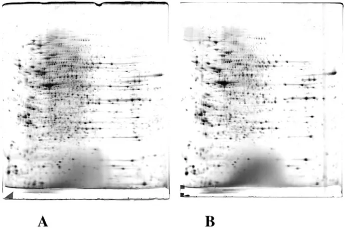 Figure 5: Evaluation of staining performances 