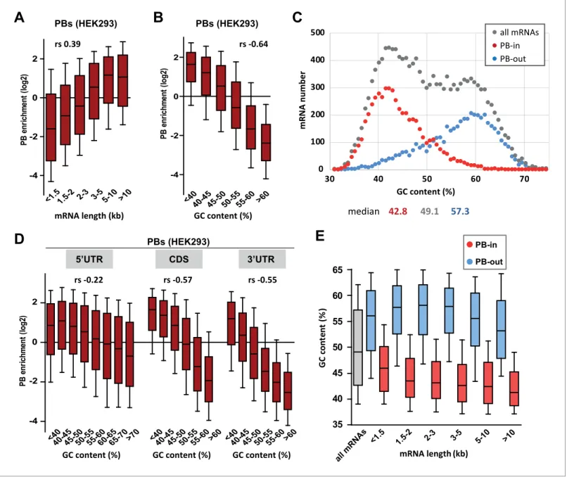 Figure 1. PB mRNAs are AU-rich and longer than average. (A) Long mRNAs are particularly enriched in PBs