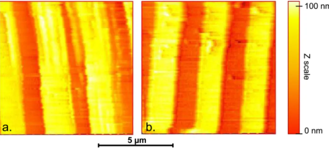 FIG. 7. Ambient FM-AFM images on a calibration grating of 3 µm pitch and 100 nm ridge height; (a) with a 32.768 kHz based probe at a scanning speed of 1.6 µm/s (probe with tip: eigenfrequency 32.321 kHz, Q = 3200, used with a relative frequency shift set p