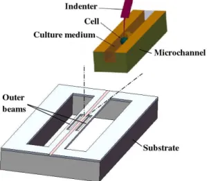 Figure 2. Top: Illustration of an open microfluidic channel for cell studies, as reported by Ryu et al