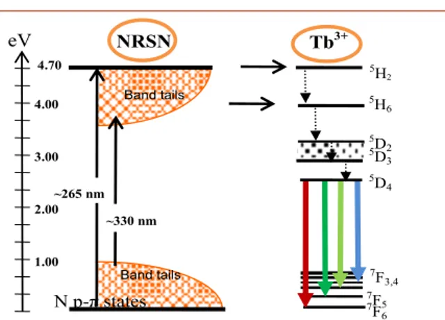 Figure 5 Schematic band diagram of the Tb-NRSN film with a  mechanism proposed to explain the PL in the NRSN film.