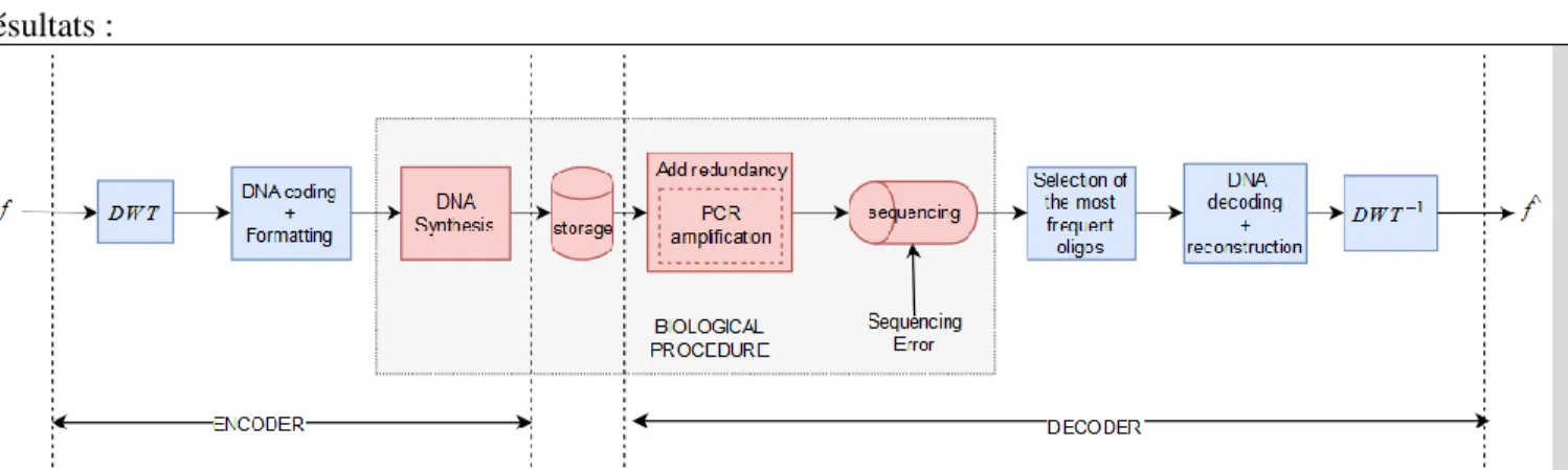 Figure 1 :   The encoding scheme. The initial image is being decomposed into wavelet subbands and each one of them is encoded into a  quaternary code and cut into smaller chunks