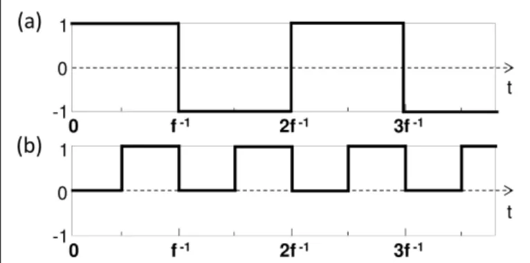 Fig. 2. Examples of possible modulation function h ( t ) of the acoustic amplitude. (a): for camera-based detection; (b): for photorefractive holographic detection.