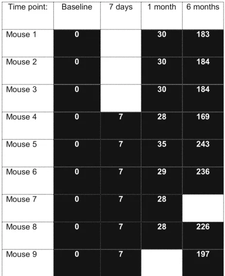 Table 1 shows at which time point each mouse was scanned.