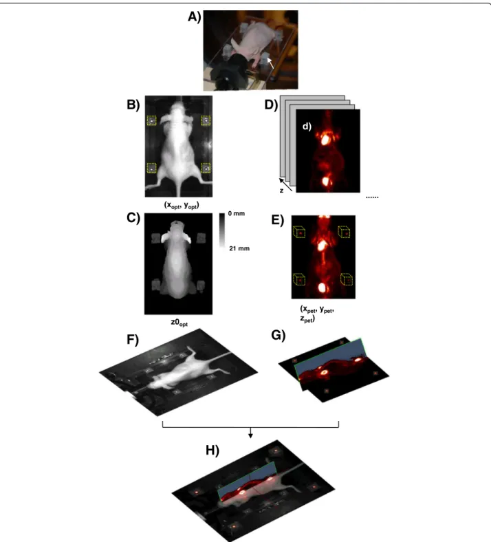 Figure 1 Outline of the automatic co-registration method for optical and micro-PET images