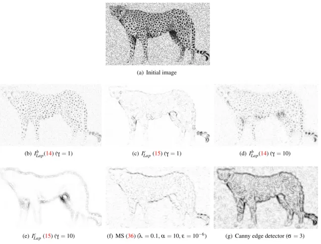 Figure 1: Comparison of (14) and (15) for different values of γ with the MS edge detection (36) and the Canny edge detector for an initial speckled image (L = 6) containing mainly isotropic small structures.