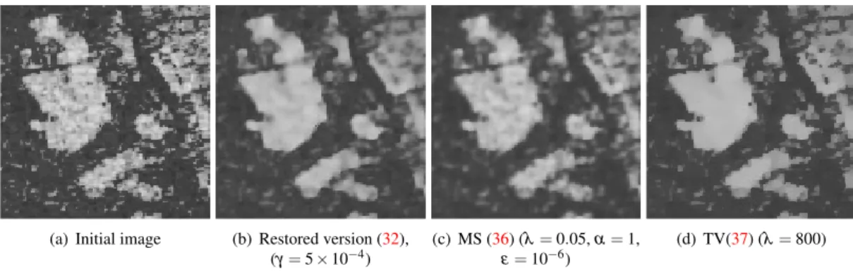 Figure 4: Comparison of the restored versions (32), (36) and (37) for a real SAR image (Zoom on Fig