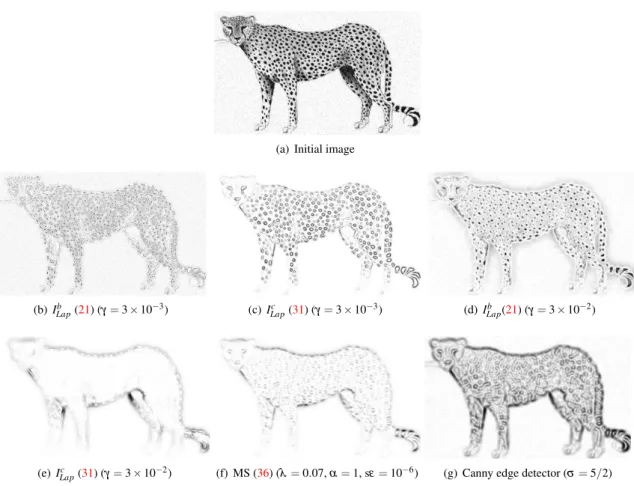 Figure 8: Comparison of (21) and (31) for different values of γ with the MS edge detection (36) and the Canny edge detector for a Poissonian image containing mainly isotropic small structures.