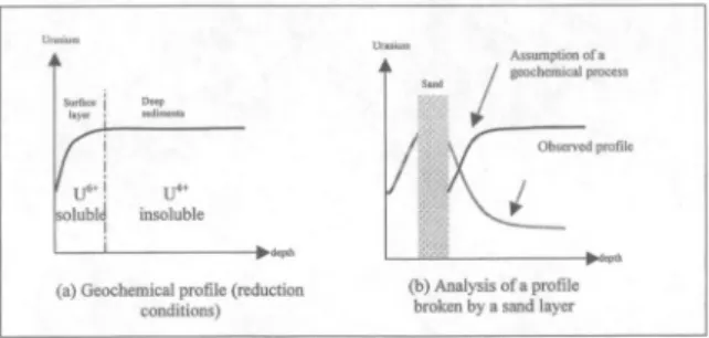 Figure S ; Schema of uranium profiles (see text) 