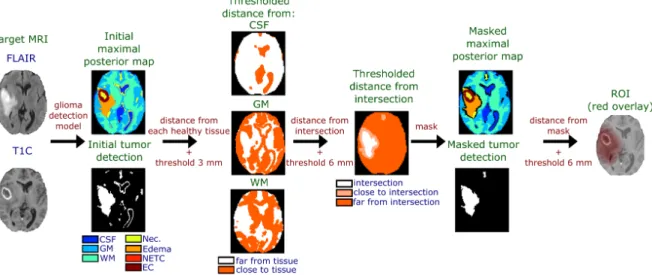 Fig. 5: Glioma detection post-processing. Euclidean distances from each healthy tissue are thresholded and intersected to determine the tumor bulk