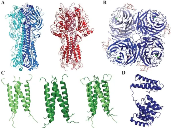 Figure 4: Structure of influenza HA, HEF, NA, M2 and M1 proteins.  