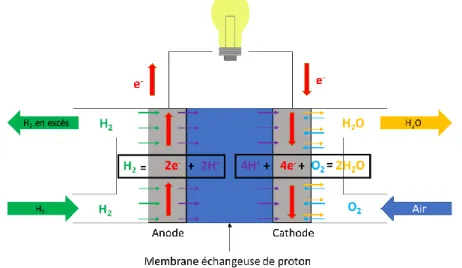 Figure 13: Schéma de fonctionnement d’une pile à combustible à hydrogène et oxygène 