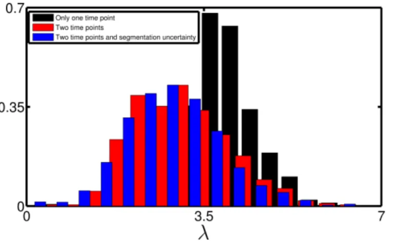 Figure 16. Normalized histogram of the distribution of the invisibility index λ = p