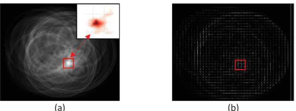 Figure 5. Defect cartography (a) and its representation by HOG descriptor (b). Each group of 8x8  pixels is replace by a scalar among 9 possible values to reduce feature dimension