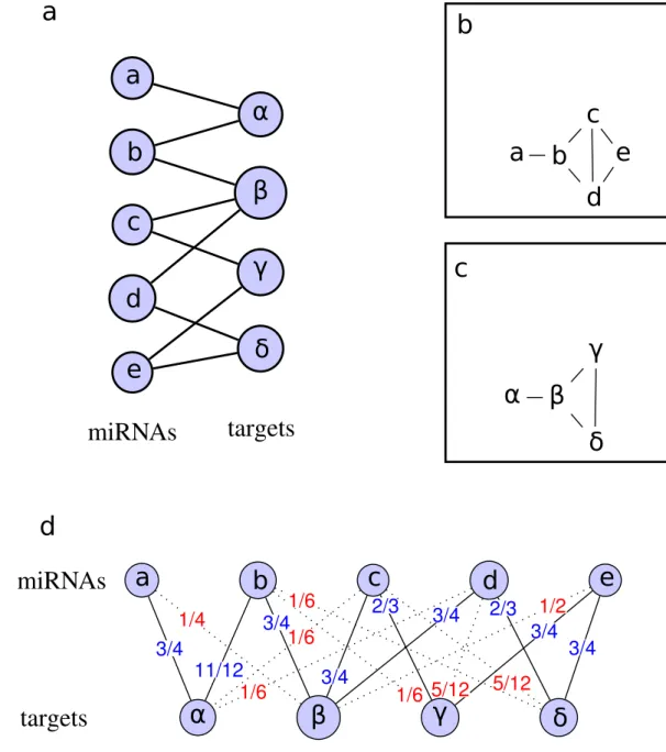 Figure 3.  Illustration of miRNA-target associations. (a) miRNA-target bipartite network that connects  items from a set of miRNAs to items from a set of targets