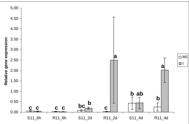 Fig. 3 Relative expression level of the STMEO91 chitinase gene, normalized with RPN7, UBP22, MST2 and  OXA1  reference  genes