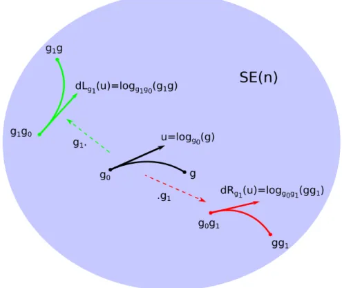 Figure 2: Bi-invariant linearization.