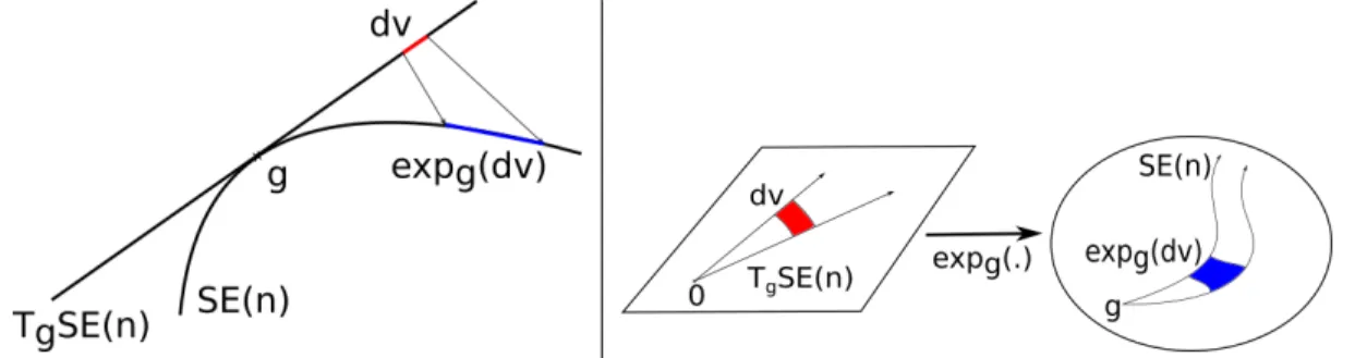 Figure 3: To push a density from a tangent space to the group, it is necessary to know the ratios between red and blue areas.