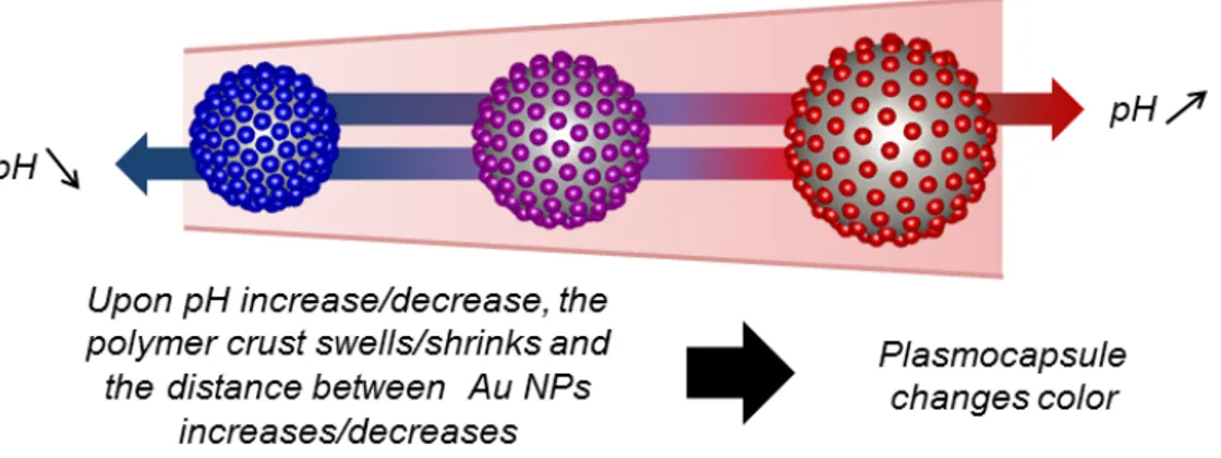 Figure 1: Schematic representation of the plasmonic response of the designed plasmocapsule  microsensor  as  a  function  of  pH  change