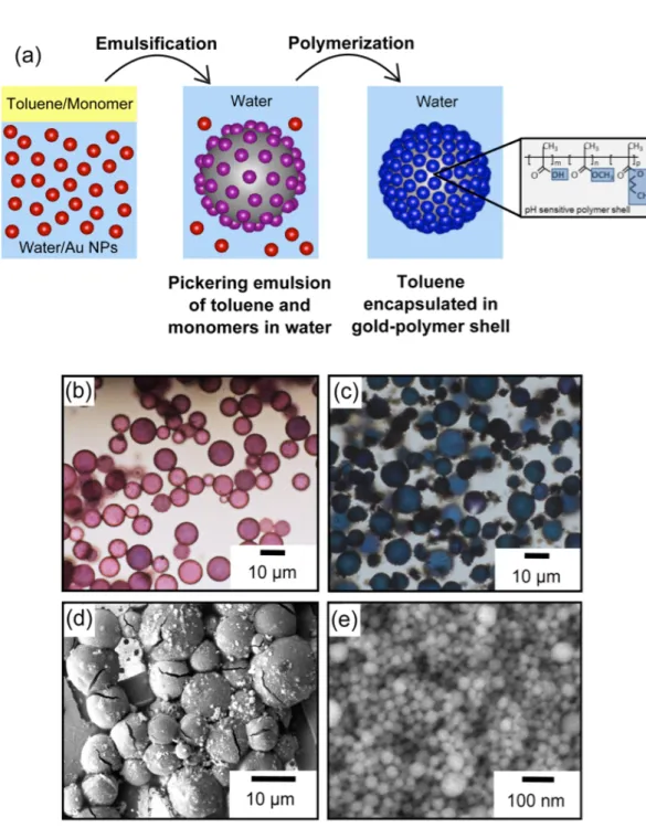 Figure  2:  (a)  Schematic  representation  of  the  formation  of  plasmocapsules.  (b)  Optical  microscope images of typical emulsions right after sonication