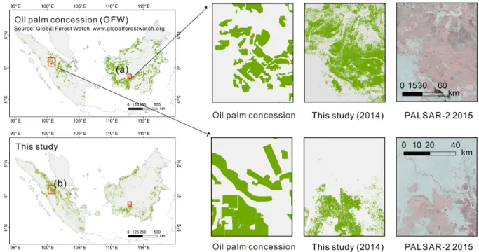 Figure 9. Comparison with oil palm concession from Global Forest Watch (GFW) for 2014