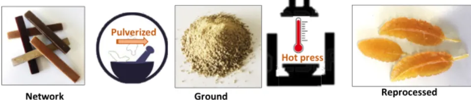 Figure 3. Epoxy conversion % for the virgin and recycled materials, determined by FTIR, in function of EVO epoxy content.