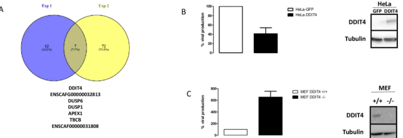 Fig 6. Analysis of the differentially expressed genes in bystander versus infected cells using the “conserved markers” strategy