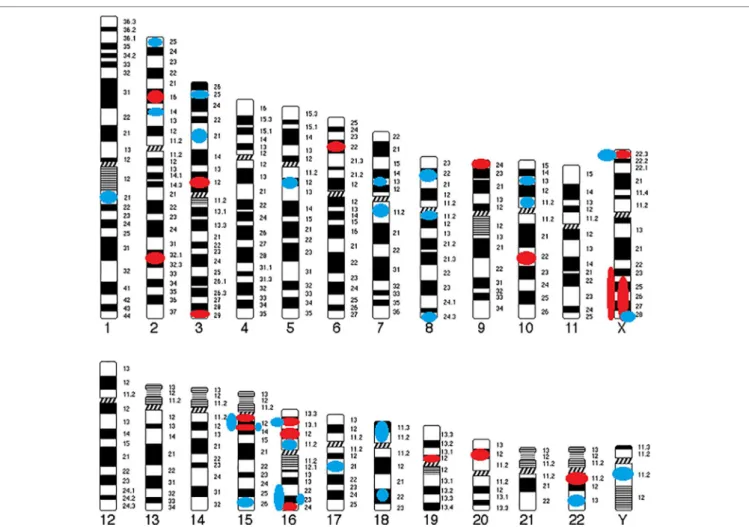FIGURE 3 | Genomic map of CNVs identified in COS. Circles indicate their position and color represents type of abnormality (Red circle, deletion; Blue circle,  duplication).