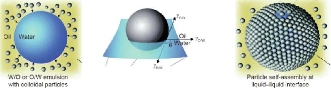 Fig. 3. Interfacial assembly of spherical particles at the oil–water interface. Reproduced from Ref