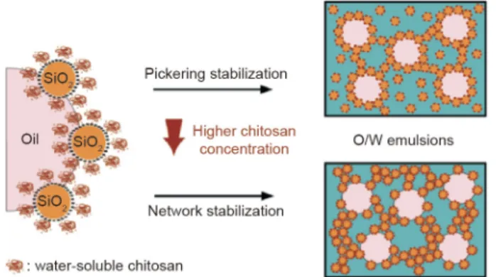 Fig. 6. Pickering emulsion prepared with chitosan-modified silica nanoparticles.