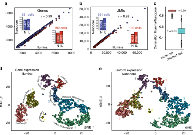 Fig. 2 Comparison of Nanopore long read with short-read scRNA-seq. Number of genes a and number of UMIs b detected for each cell of the 190 and 951 cell datasets after Illumina and Nanopore sequencing