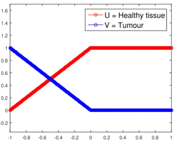 Figure 9. Graphs of the initial profiles for the simplified model.