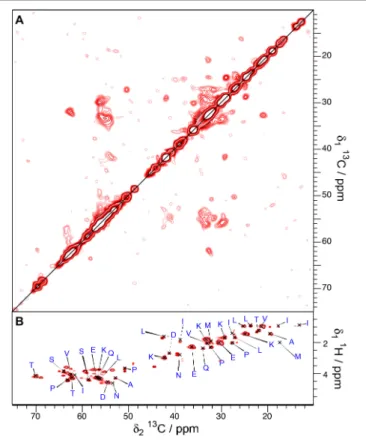 FIGURE 6 | T 1 -filtered 13 C- 13 C correlation (A) and INEPT (B) spectra of Sup35pNM-His-#3