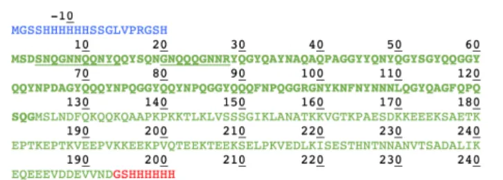 FIGURE 1 | Primary structure of Sup35pNM with an N- and C-terminal poly-histidine tag