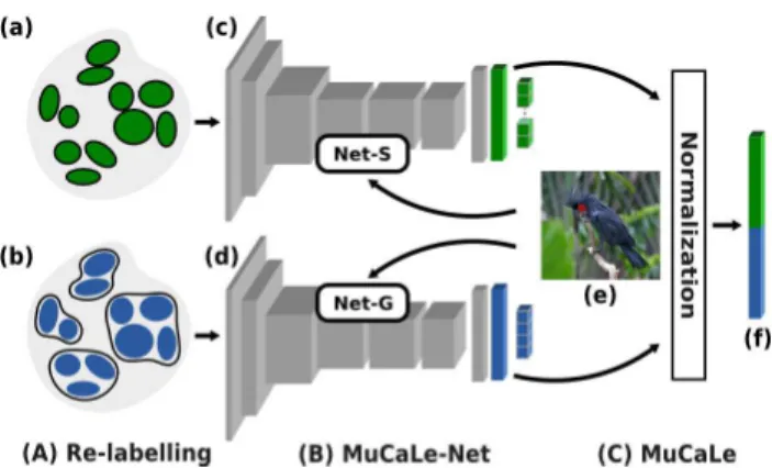 Figure 3. Illustration of the MuCaLe-Net learning procedure (B) and the extraction of the MuCaLe descriptor (C) given the different categorical-level databases obtained after the re-labeling  proce-dure (A)