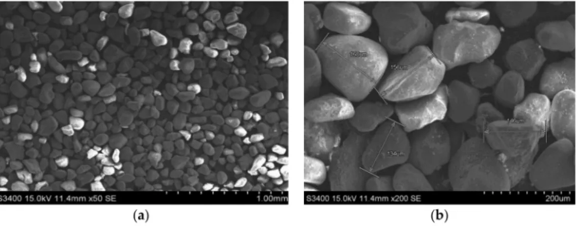 Figure 3 shows microscopic pictures taken with a scanning electron microscope (SEM, S-3400N, Hitachi, Chiyoda, Tokyo, Japan), which is described in Section 2.6.4